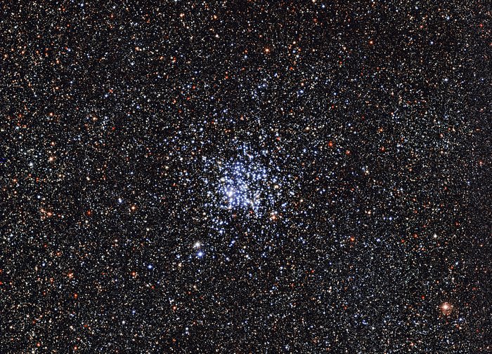 The Wild Duck cluster